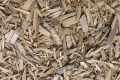 biomass boilers Leebitten