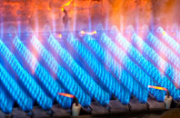 Leebitten gas fired boilers